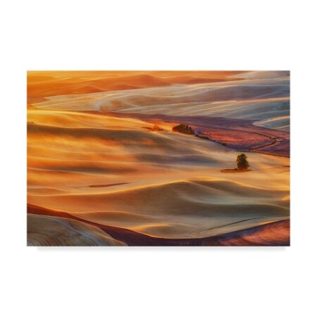 Trademark Fine Art Lydia Jacobs 'Golden Palouse' Canvas Art, 12x19 1X06833-C1219GG